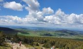 Trail Walking Borée - Le Mont Mezenc - Photo 3