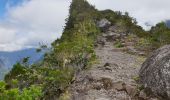 Trail Walking La Possession - Bord Martin - Aurere - par le sentier Scout à l'aller et retour par le sentier Augustave - Photo 10