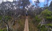 Tocht Stappen Salazie - Tour du Piton des Neiges par le petit GRR1 / J4 - Photo 4