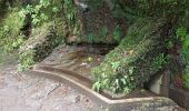 Percorso Marcia Calheta - Madère : de Rabaçal vers les 25 sources - Photo 20
