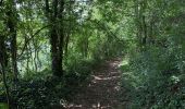 Trail Walking Érezée - Mormont Villers St Gertrude 22 km - Photo 7
