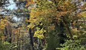 Tocht Stappen Versailles - Étangs de la Minière  - Photo 4