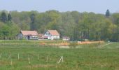 Tour Zu Fuß Sint-Truiden - Nieuwenhoven Blauwe ruit - Photo 4