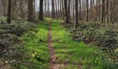 Tocht Noords wandelen Ham-sur-Heure-Nalinnes - Fontenelle, tordoir, gare hsh - Photo 1