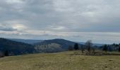 Randonnée Marche Basse-sur-le-Rupt - Piquante Pierre, col de Ménufosse, tourbière de Jemnaufaing - Photo 3