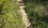 Trail Walking Gigors-et-Lozeron - 26 st supporte gigors - Photo 1