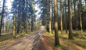 Tour Wandern Libramont-Chevigny - rando laneuville(libramont)18/02/2021 - Photo 18