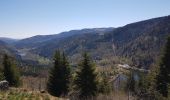 Tocht Stappen Sewen - Lac d'Alfed et sa cascade - Lac des Perches  - Lac du Newiher - Photo 12