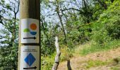 Trail Walking Vianden - 2023-06-19_15h21m20_eislek-pad-vianden-1 - Photo 11