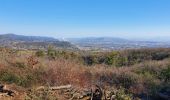 Randonnée Marche Le Teil - La Rouviere : Mont-Rosier 9 km. - Photo 1