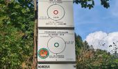 Trail Walking Rombach-le-Franc - Col de Schlingoutte - Photo 11