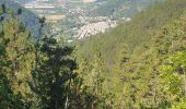 Randonnée Marche Châtillon-en-Diois - chatillon en Diois. les oursieres  - Photo 7