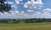Randonnée Marche nordique Aywaille - trek2306 remouchamps . ninglinspo . Vert-Buisson . berinzenne . source sauveniere . niveze . sart . royonpré . polleur . chawion . theux . hodbomont . forestia . remouchamps  - Photo 3