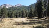 Tour Wandern Ancelle - toufde la Pinouse : pré bouria . Le rouanne . la pinouse . moissiere . pré bouria - Photo 9