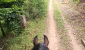 Trail Equestrian Porcelette - Wikiloc - Porcelette - Grotte des russes - Photo 13