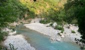 Tour Wandern Le Broc - Pont de l'Estéron, Chapelle Sainte Marguerite, bord de l'Estéron - Photo 11