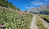 Excursión Senderismo Val-Cenis - Savoie_Col-Mont-Cenis=>Fort-de-la-Tura - Photo 8