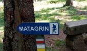 Trail Walking Violay - La Tour de Matagrin avec un départ à Violay - Photo 4