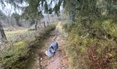 Tour Wandern Le Tholy - Sentier de la Roche Au Blaireau depuis le gîte  - Photo 4