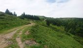 Excursión Senderismo Mont-Dore - départ Capucin vers puy de Sancy en passant par le pas de l'âne retour chemin des artistes 2019-25-06  - Photo 2