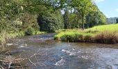 Tocht Stappen Stavelot - stavelot adeps 15km  01-09-2024 - Photo 17