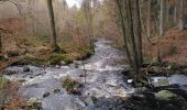 Randonnée Marche Jalhay - pont de belle heid la vallée de la hoegne - Photo 4