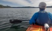 Percorso Canoa - kayak Canet-de-Salars - Lac de Pareloup côté est - Photo 14