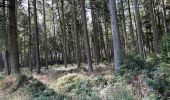 Trail Walking Houffalize - Initiation bivouac J2 - Photo 13