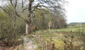 Trail Walking Aywaille - ninglinspo . chefna . fond de quareux  - Photo 13