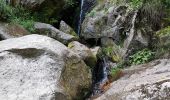 Randonnée Marche Le Valtin - Col de la Schlucht - sentier des Roches - Petit Honneck - Honneck - Trois Fours - Photo 15