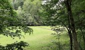 Percorso A piedi Lorch - Alfdorfer Wanderweg Nr. 4 Bemberlesstein - Photo 2