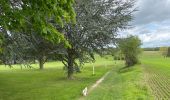 Randonnée Marche Villers-la-Ville - VLV - promenade de Rigenée (départ parking du Golf) - Photo 5