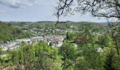 Trail Walking Bouillon - sabots de Godefroid  - Photo 1