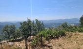 Excursión Senderismo La Garde-Freinet - la Garde-Freinet- notre dame de miremer - Photo 4