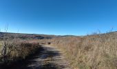 Excursión Senderismo Badaroux - Pelgeires,le Born la Rouviere  - Photo 2