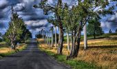 Randonnée A pied Deutschneudorf - Zážitková NS „Dvě země – jeden region“ - Photo 10