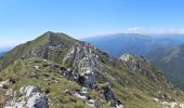 Trail On foot Zărnești - Cabana Plaiul Foii-La Lanțuri-Șaua Grindului - Photo 2