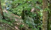 Tour Wandern Foncine-le-Bas - Foncines-le-Bas, du viaduc des Douanets à  la cascade du Bief de la Ruine. - Photo 4