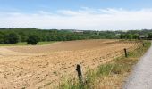 Excursión Bici eléctrica Ronse - Renaix - bois Louise Marie - par sentiers - Photo 3