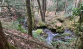 Trail Walking Brassac - Ruisseau du Ser  - Photo 1