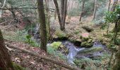 Tour Wandern Brassac - Ruisseau du Ser  - Photo 1