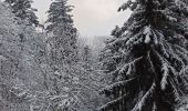 Trail Touring skiing Xonrupt-Longemer - 02-12-23 ski rando nordique chaume de Balveurche - Photo 1