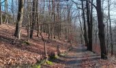 Tour Wandern Spa - rando dans les bois du nord de spa  - Photo 2