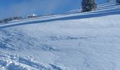 Excursión Raquetas de nieve Corrençon-en-Vercors - depart closde la balme - Photo 1