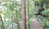 Trail Walking Burg-Reuland - Gr5 : Burg-Reuland-Duisburg  - Photo 4