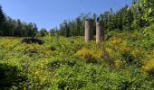 Trail Walking Chevinay - Saint Bonnet Le Froid - Les tours - Photo 4