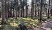 Trail Walking Spa - sauvenière . tour berinzenne . tahanfagne . sauvenière - Photo 4