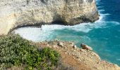 Trail Trail Anse-Bertrand - La mahaudiere - Photo 4