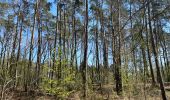 Randonnée Marche Villers-la-Ville - BE-Villers-la-Ville - Sart-Dame-Avelines - Le Bois de Bérines - VLV 9 - Photo 1