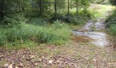 Trail Walking La Roche-en-Ardenne - Samrée août 23 - Photo 4